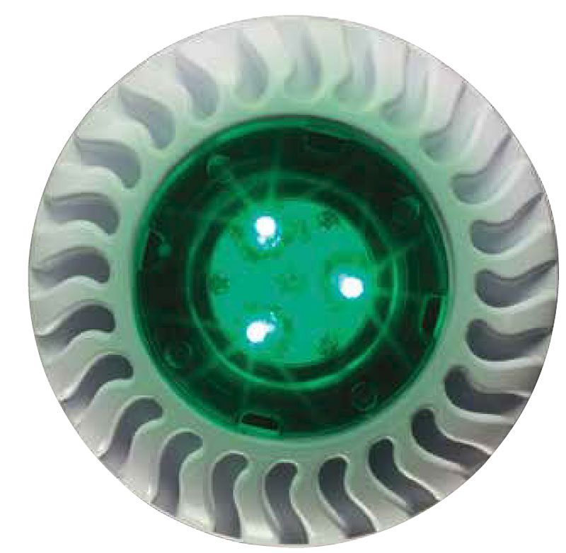 Pentair Globrite Shallow Water LED Pool and Spa Light, 12V 50 ft. co