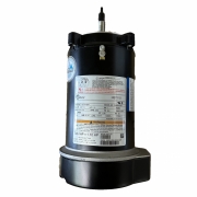 Hayward Super Pump Replacement Century Pro Motor 1HP 115/230V